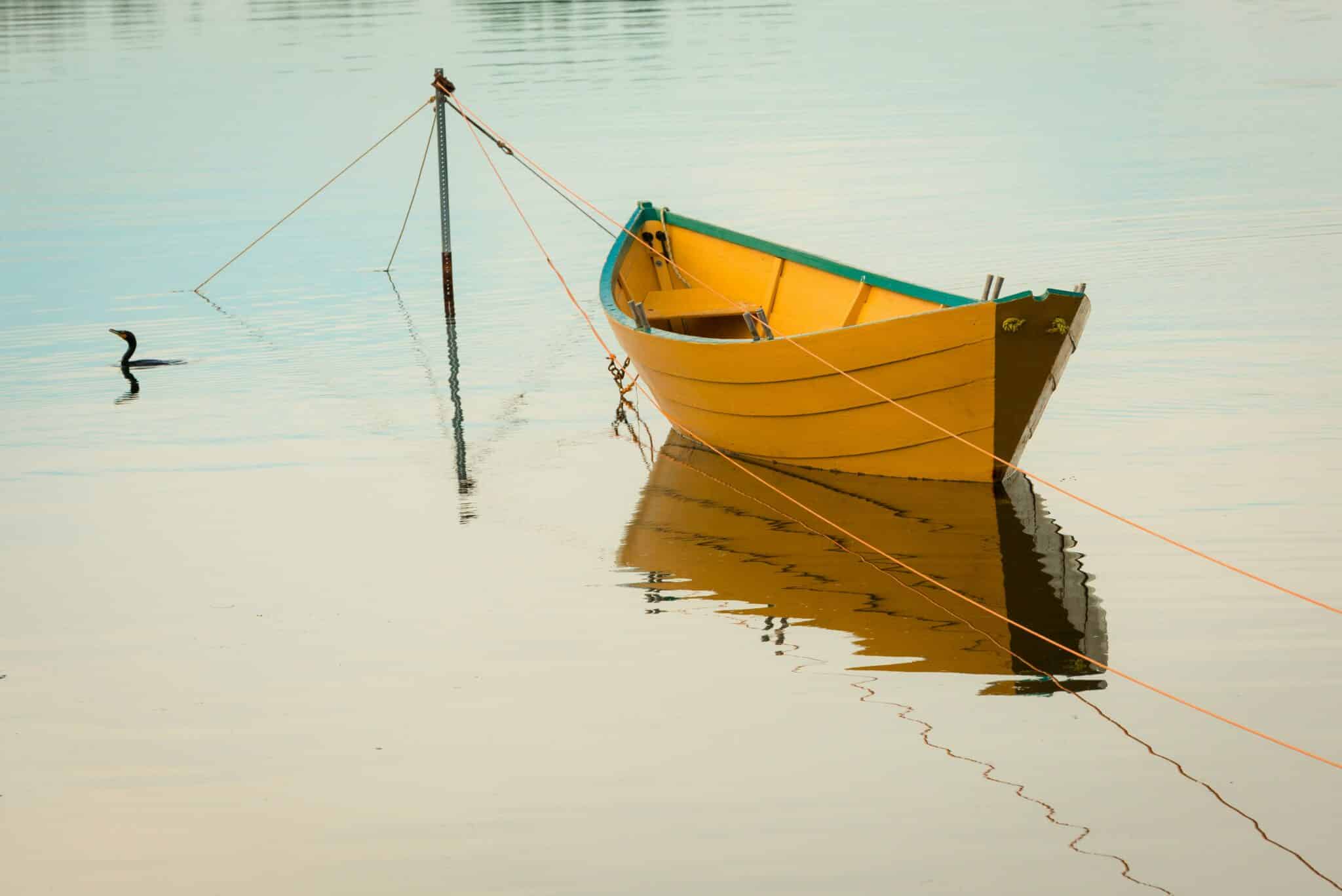 location de bateau sans permis - profitez de balades en mer en toute liberté