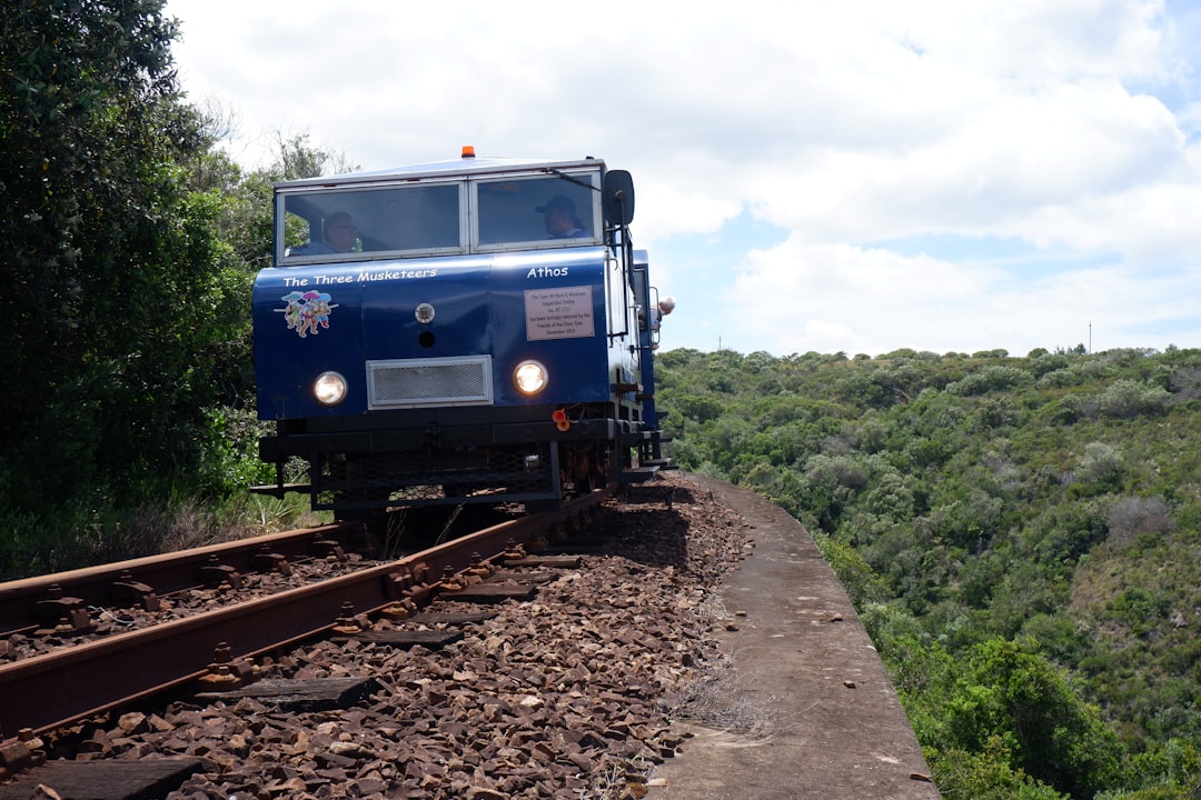 découvrez le charme du blue train, un voyage ferroviaire légendaire qui traverse des paysages à couper le souffle. profitez d'un confort luxueux et d'une expérience inoubliable à bord de ce train emblématique, tout en explorant les merveilles de la nature et de la culture.