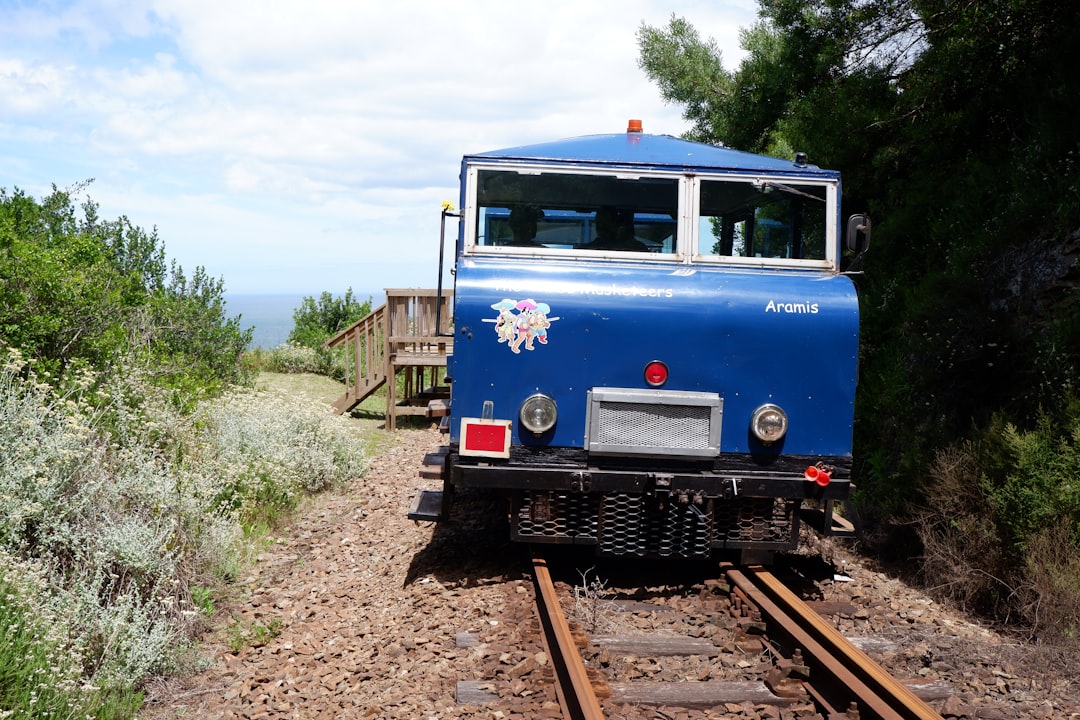 découvrez l'expérience inoubliable du blue train, un voyage luxueux à travers des paysages à couper le souffle. profitez d'un confort exceptionnel, d'une gastronomie raffinée et d'un service haut de gamme à bord de ce train emblématique. partez à l'aventure et laissez-vous séduire par la magie du voyage en train.