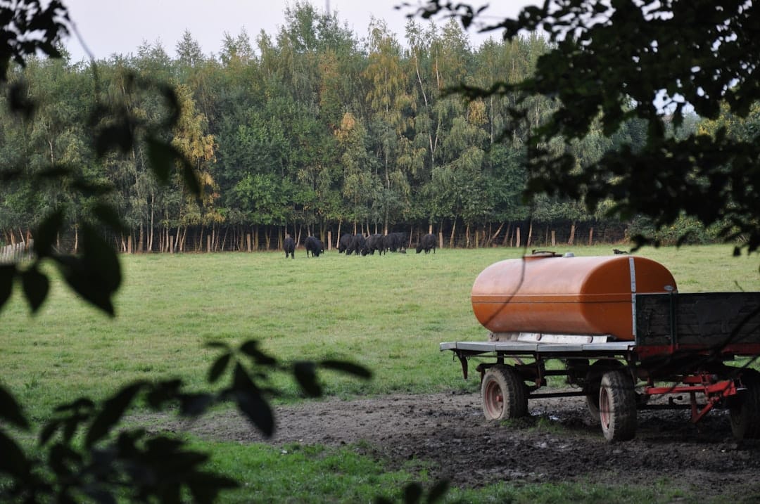 découvrez nos camions de transport de bétail, conçus pour assurer un transport sécurisé et confortable de vos animaux. optimisez vos opérations d'élevage avec des véhicules fiables et adaptés aux normes de bien-être animal.