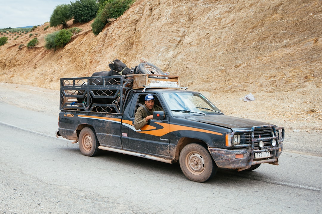 découvrez notre gamme de camions de bétail, conçus pour transporter vos animaux en toute sécurité et confort. robustes et fiables, nos véhicules garantissent un transport efficace et respectueux de votre cheptel.