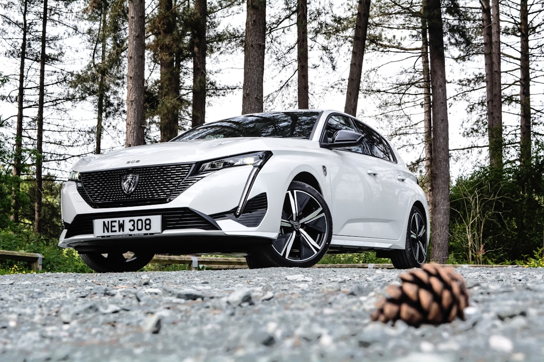 découvrez l'univers de peugeot, marque automobile française emblématique alliant innovation, performance et savoir-faire. explorez nos modèles modernes et écologiques, conçus pour répondre à vos besoins de mobilité tout en offrant un design élégant.