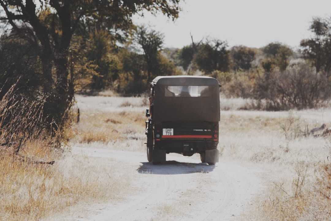 découvrez nos services de location de camions adaptés à tous vos besoins de transport. que ce soit pour un déménagement ou des travaux, profitez de tarifs compétitifs et d'une flotte moderne. louez un camion facilement et voyagez en toute sérénité.