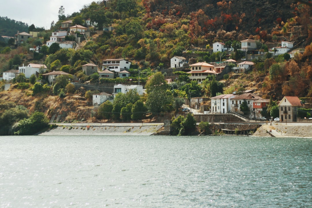 découvrez le confort et la praticité du voyage en train. explorez des paysages magnifiques tout en profitant d'une expérience de transport écologique et relaxante. réservez votre aventure ferroviaire dès aujourd'hui!